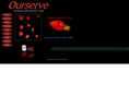 ourserve.net