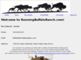 runningbuffaloranch.com