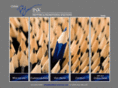 blueinkpromotions.com