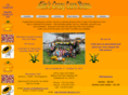 kimscrazycornmaze.com