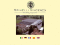 spinellivincenzo.com