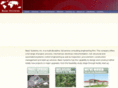 basic-systems.com