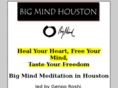 bigmindhouston.com