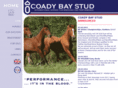 coadybaystud.com