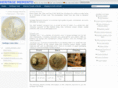 coinstokens.biz
