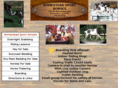 homesteadsporthorses.com