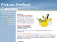 pictureperfectclng.com