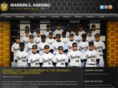 warrenraiderbaseball.com