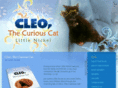 cleothecuriouscat.com