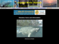 crystalrivermanatee.com
