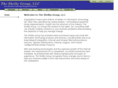 shelby-group.net