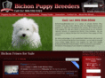 bichonpuppybreeders.com