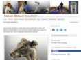 greyhoundsculptor.com