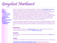 greysheetnw.org