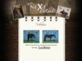 nextdetail.com
