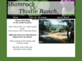 shamrockandthistleranch.com