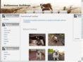 bullzones.com