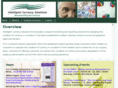 intelligentcurrencysolutions.com