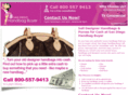 san-diego-handbag-buyers.com