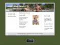 thewebsiteartist.com
