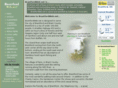 brantfordweb.com