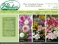 dutchbulbs.co.uk