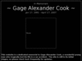 gagecook.com