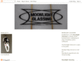 moonlightglassingsurfboards.com