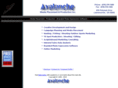 avalancheproductions.com