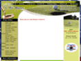 oldmasterputter.com