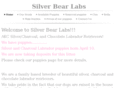 silverbearlabs.com