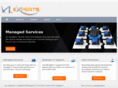 viexperts.com
