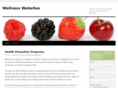 wellness-websites.com