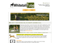 whitetailtube.com