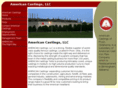 americancastings.com