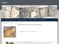 catlink.org