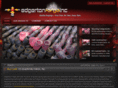edgertonforge.com
