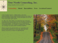 truenorthcounseling.net