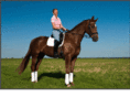 nj-dressage.com