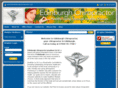 theedinburghchiropractor.com
