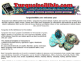 turquoisebible.com