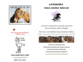 wildhorserescue.org
