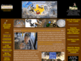 amarillotreasure.com