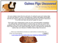 guineapigcareguide.com
