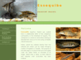 essequarium.com