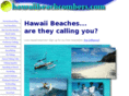 hawaiibeachcombers.com