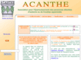 acanthe.org