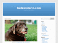 betzanderic.com