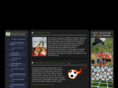 forsportmisr.com
