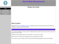 realsafetymanagement.com